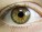 Resultat d'imatges de ojos verdes con marron y amarill